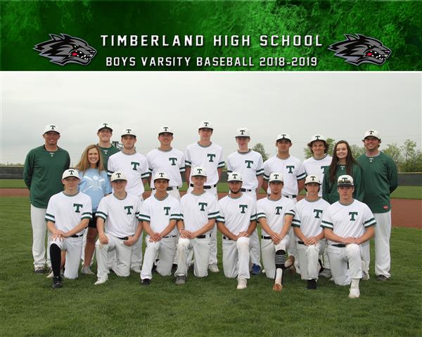 Varsity Baseball 2019 